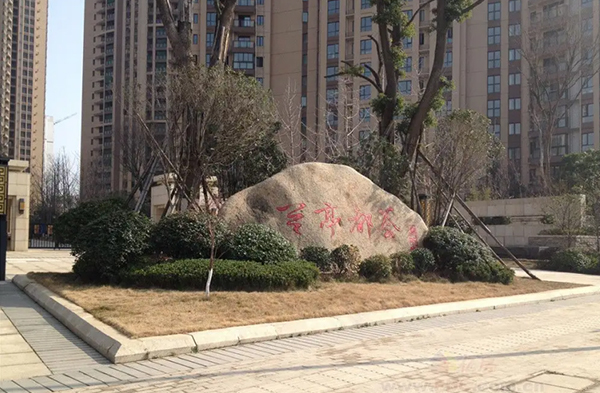 1691720402395023.jpg 蘭亭都薈項目